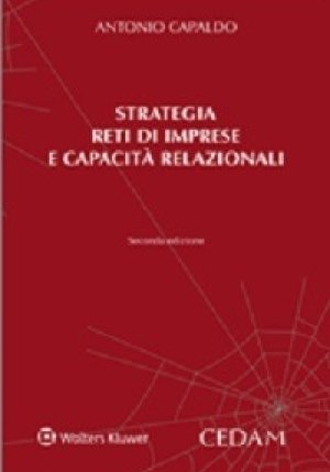 Strategia Reti Di Imprese E Ca fronte