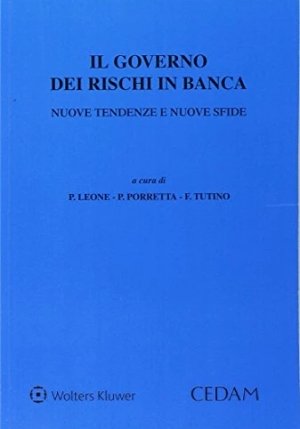 Governo Rischi In Banca Nuove Tendenze fronte