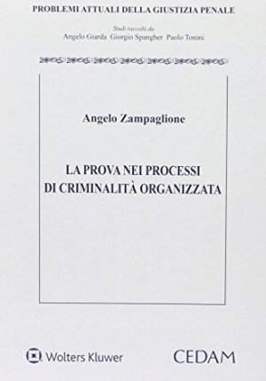 Prova Processi Crim.organizz fronte