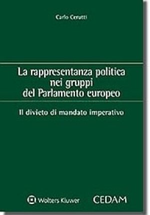 Rappresentanza Politica fronte