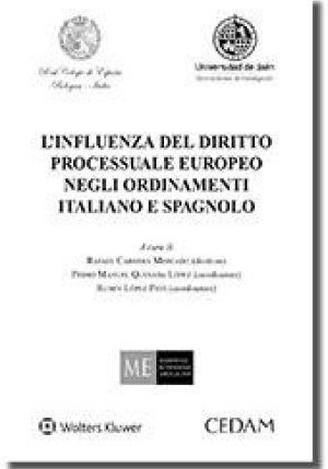 Influenza Del Diritto Proc. fronte