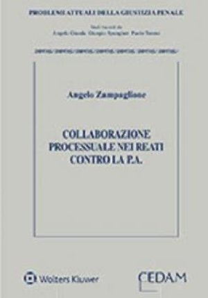 Collaborazione Processuale fronte