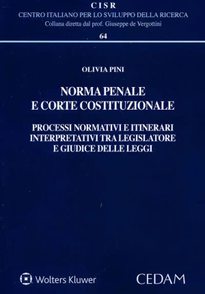 Norma Penale E Corte Costituzionale fronte