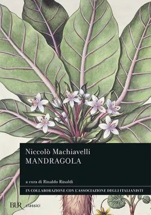 La Mandragola fronte