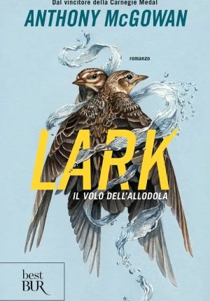 Lark Il Volo Dell'allodola fronte