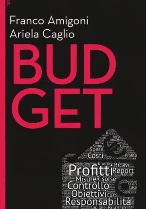 Budget fronte