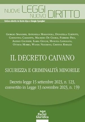 Decreto Caivano Sicur. Criminalita' Mino fronte