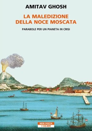 La Maledizione Della Noce Moscata fronte