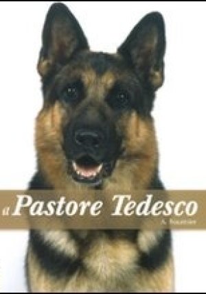 Il Pastore Tedesco fronte