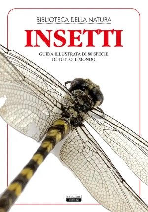 Insetti. Guida Illustrata Di 80 Specie Di Tutto Il Mondo fronte