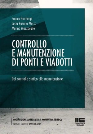 Controllo E Manutenzione Ponti Viadotti fronte