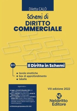 Schemi Diritto Commerciale 2022 fronte