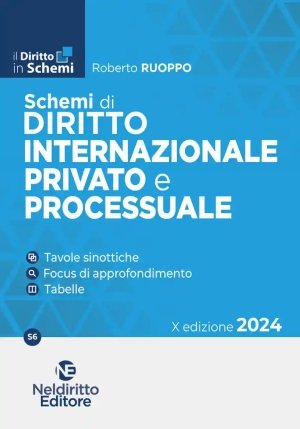 Schemi Diritto Int.le Privato Proc.2024 fronte