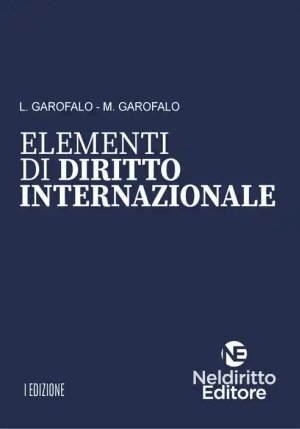 Elementi - Diritto Internazionale fronte