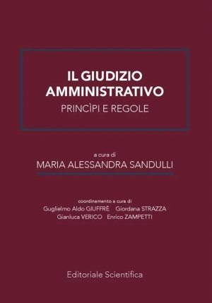 Giudizio Amministrativo fronte