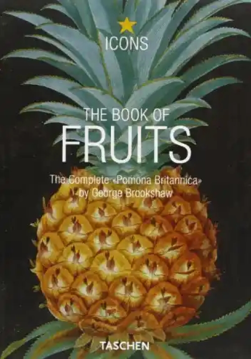 Immagine 0 di Book Of Fruits. Ediz. Italiana, Spagnola E Portoghese (the)