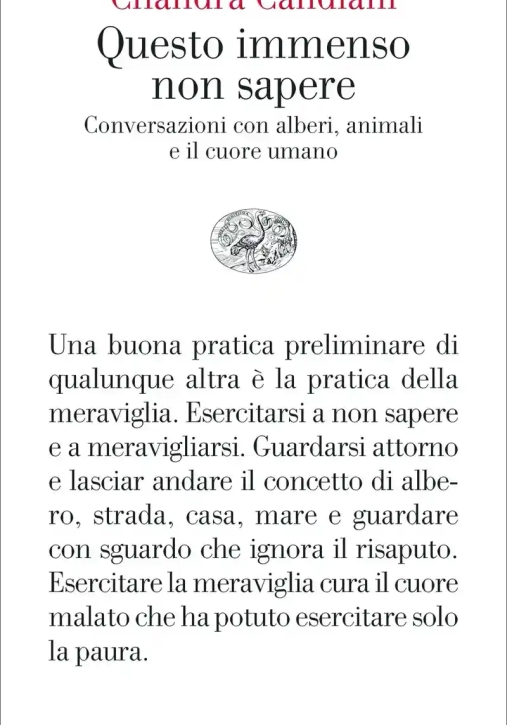 Immagine 0 di Questo Immenso Non Sapere. Conversazioni Con Alberi, Animali E Il Cuore Umano