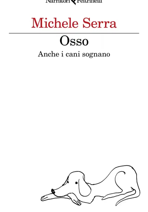 Immagine 0 di Osso