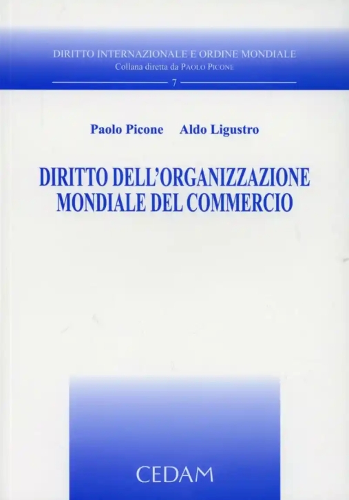 Immagine 0 di Diritto Dell'organizzazione