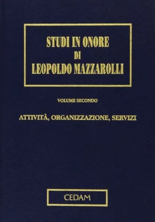 Immagine 0 di Studi Onore Mazzarolli Vol. Ii