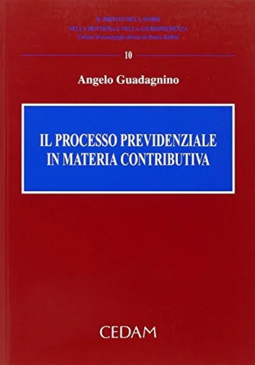 Immagine 0 di Processo Previdenziale