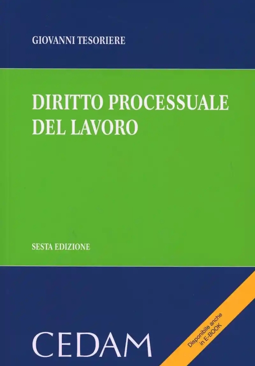 Immagine 0 di Diritto Processuale Lavoro