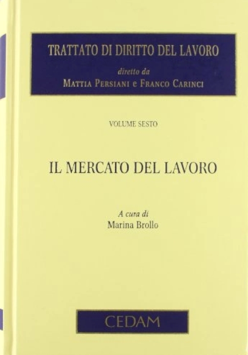 Immagine 0 di Trattato Diritto Del Lavoro 6