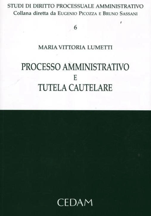 Immagine 0 di Processo Amministrativo