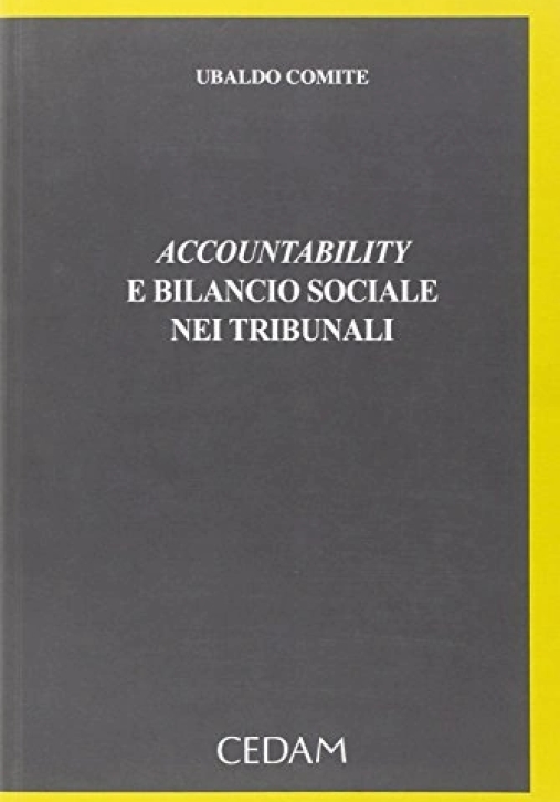 Immagine 0 di Accountability E Bilancio Soci