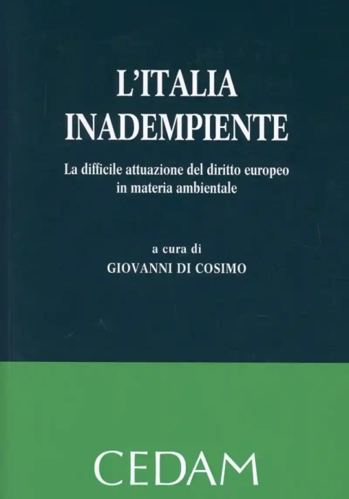 Immagine 0 di Italia Inadempiente