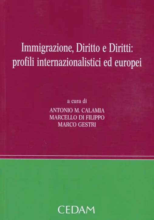 Immagine 0 di Immigrazione Diritto E Diritti