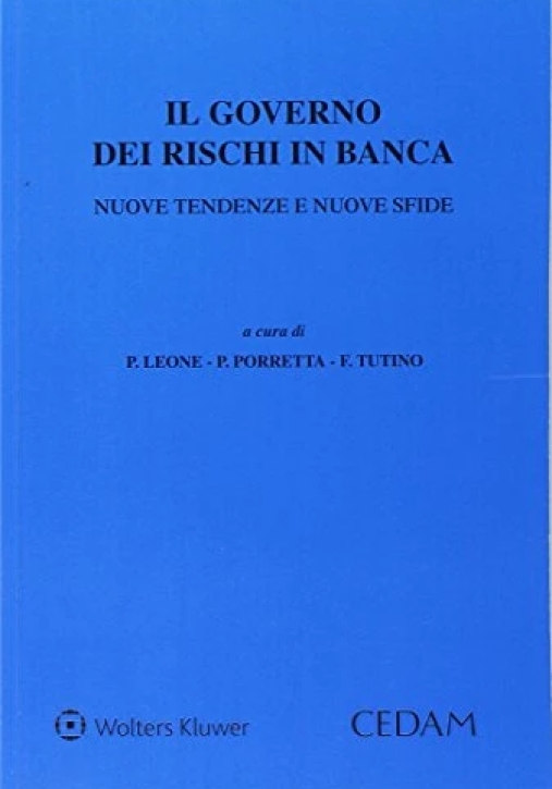 Immagine 0 di Governo Rischi In Banca Nuove Tendenze