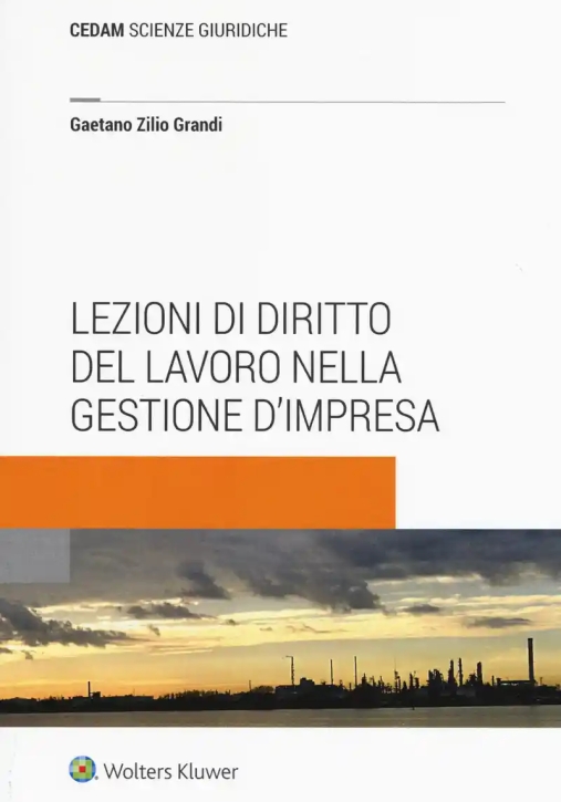 Immagine 0 di Lezioni Diritto Lavoro Gest.i