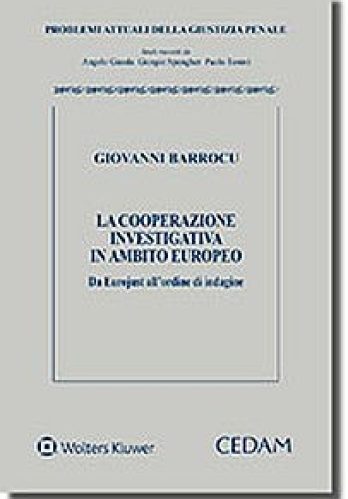 Immagine 0 di Cooperazione Investigativa