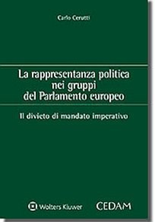 Immagine 0 di Rappresentanza Politica