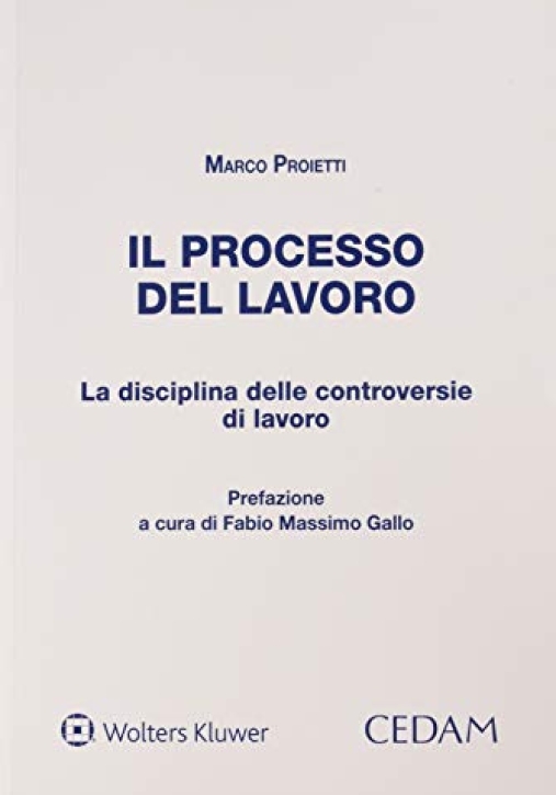 Immagine 0 di Processo Del Lavoro