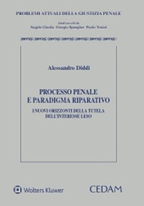 Immagine 0 di Processo Penale Paradigma Riparativo