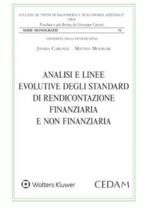 Immagine 0 di Analisi Linee Evolutive Degli Standard