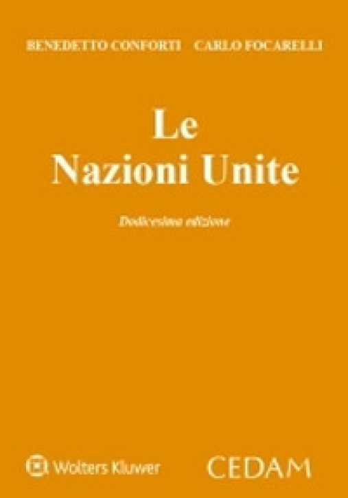 Immagine 0 di Nazioni Unite 13ed.