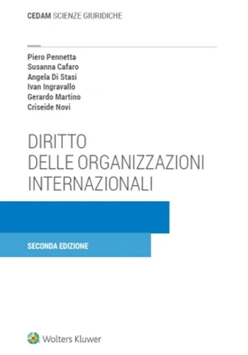 Immagine 0 di Diritto Organizzazioni Internazionali 2e