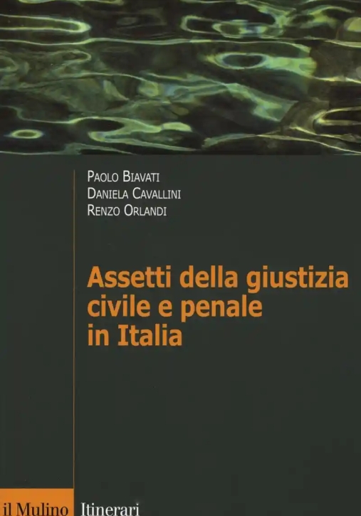 Immagine 0 di Assetti Della Giustizia Civile E Penale In Italia