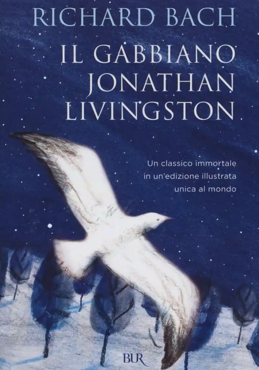 Immagine 0 di Gabbiano Jonathan Livingston