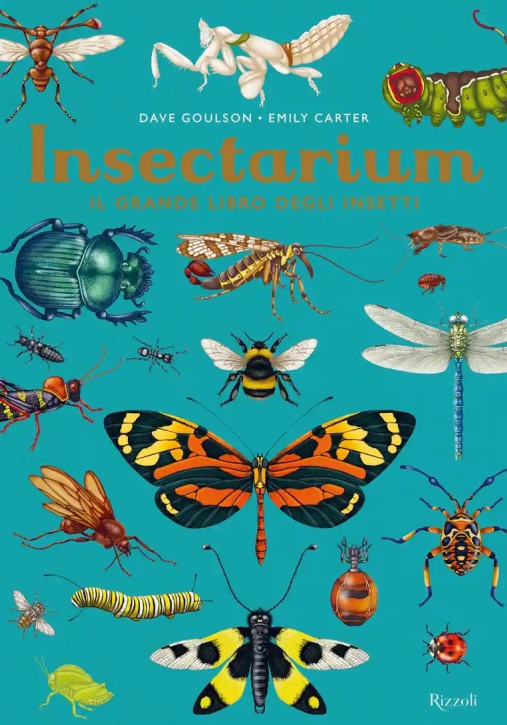 Immagine 0 di Insectarium