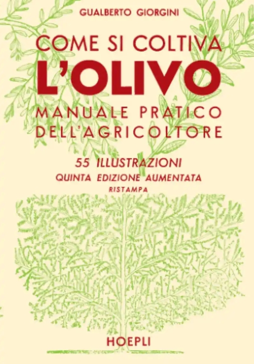 Immagine 0 di Come Si Coltiva L'olivo