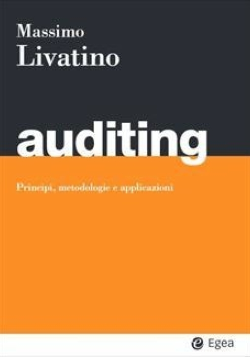 Immagine 0 di Auditing