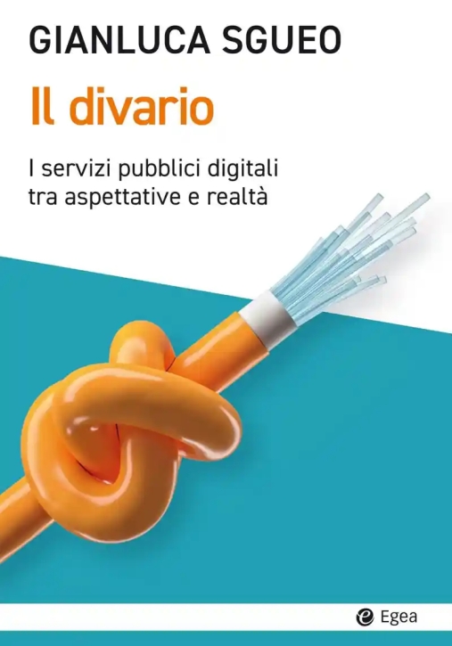 Immagine 0 di Il Divario