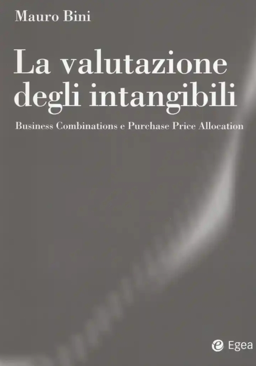 Immagine 0 di Valutazione Degli Intangibili