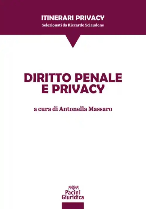 Immagine 0 di Diritto Penale E Privacy