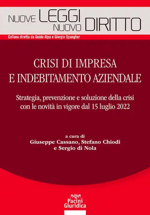 Immagine 0 di Crisi Impresa E Indebitamento Aziendale