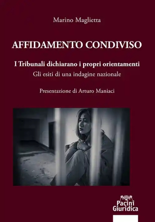 Immagine 0 di Affidamento Condiviso